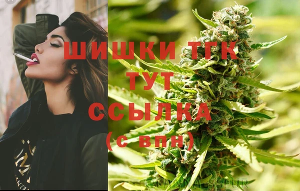 ПСИЛОЦИБИНОВЫЕ ГРИБЫ Вязьма