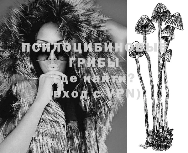 ПСИЛОЦИБИНОВЫЕ ГРИБЫ Вязьма