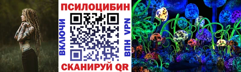 блэк спрут ТОР  Истра  Псилоцибиновые грибы ЛСД  где купить наркоту 