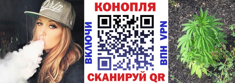 как найти наркотики  Истра  OMG ТОР  Бошки марихуана тримм 